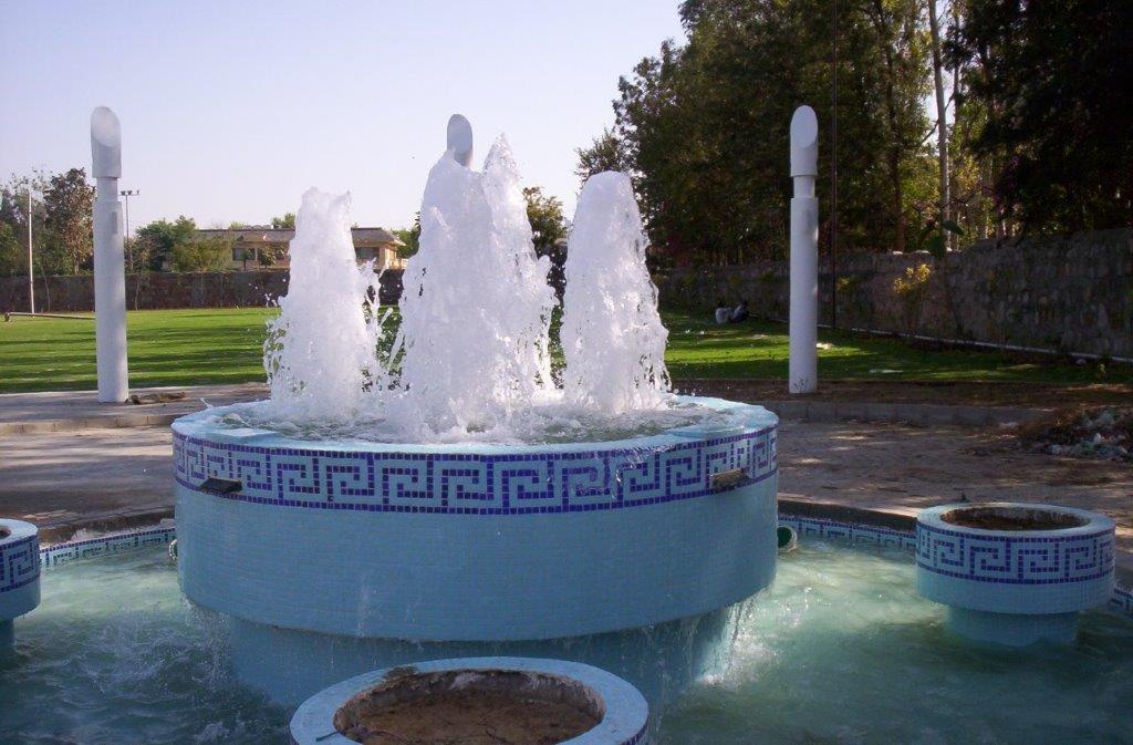 Private Farm, New Delhi (0108)